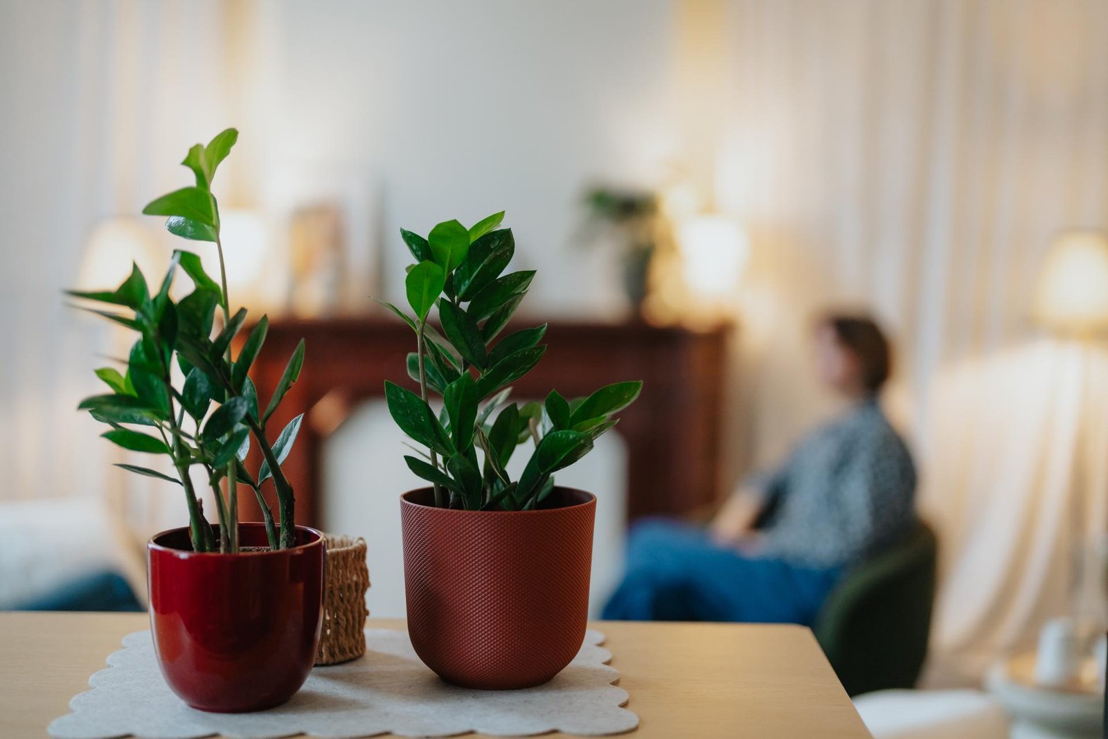 Rustgevende praktijkruimte met planten voor psychotherapie
